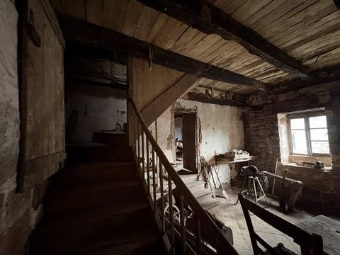 photo no. 5