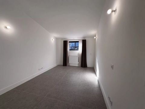 photo no. 12