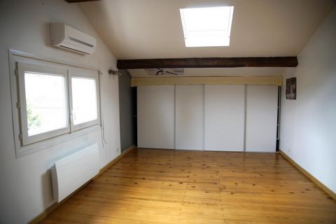 photo no. 12