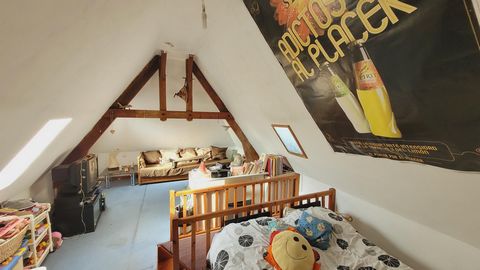 photo no. 17