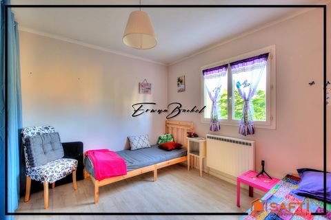 photo no. 11