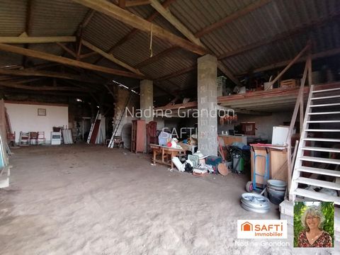 photo no. 14