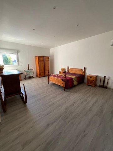 photo no. 12