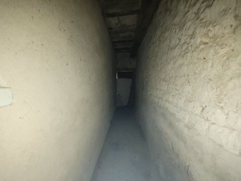 photo no. 12