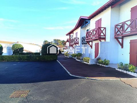 photo no. 2
