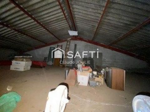 photo no. 8