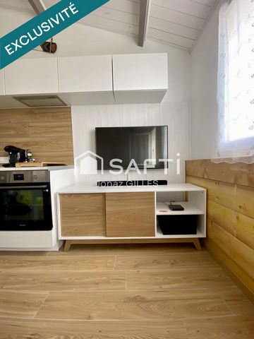 photo no. 7