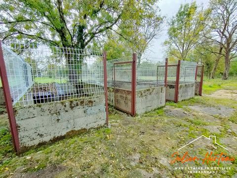 photo no. 15