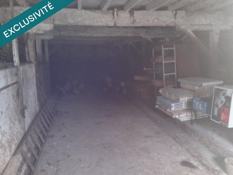 photo no. 7