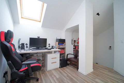 photo no. 11