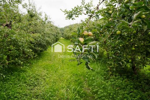 photo no. 16