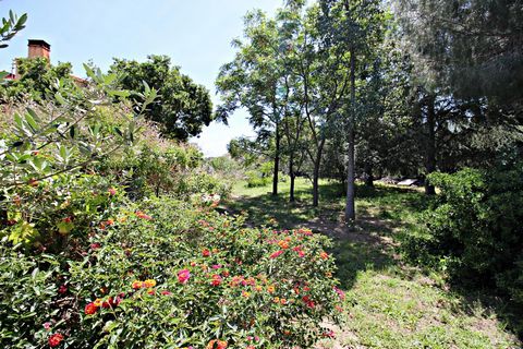 photo no. 14