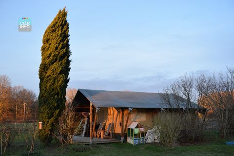 photo no. 6