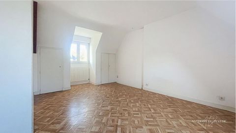 photo no. 11