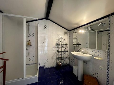 photo no. 12