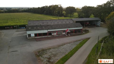 photo no. 6