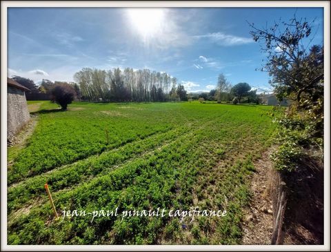 Dpt Hautes Pyrénées (65), à vendre MOMERES terrain