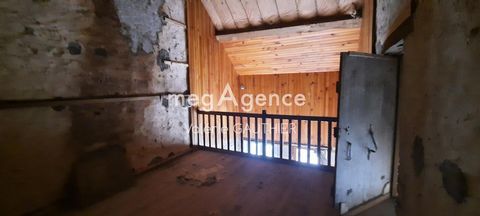 photo no. 14