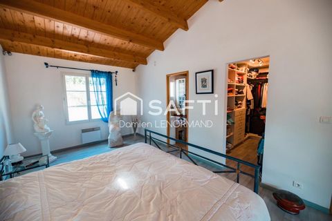 photo no. 11