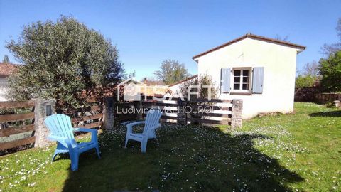 photo no. 12