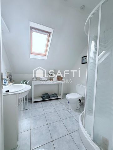 photo no. 11