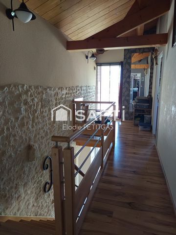 photo no. 12