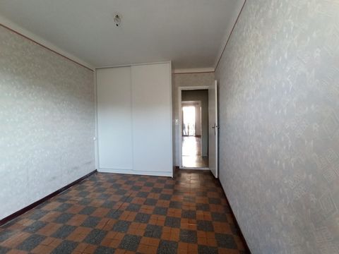 photo no. 6