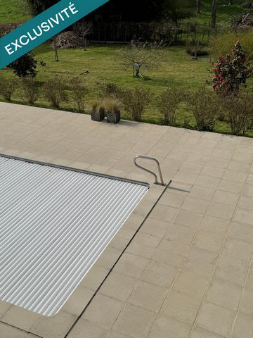 photo no. 9