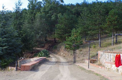 photo no. 12