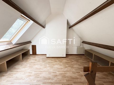photo no. 11