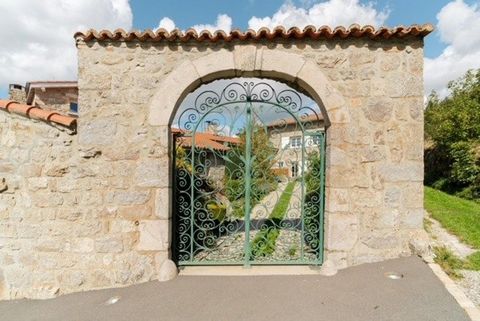 photo no. 11