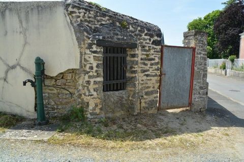 photo no. 14