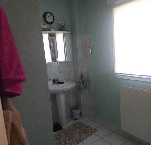 photo no. 9