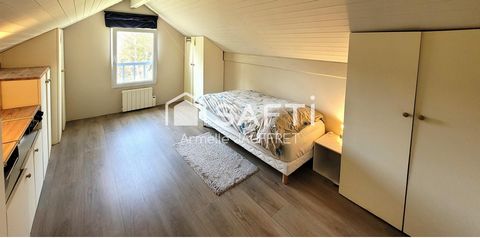 photo no. 11