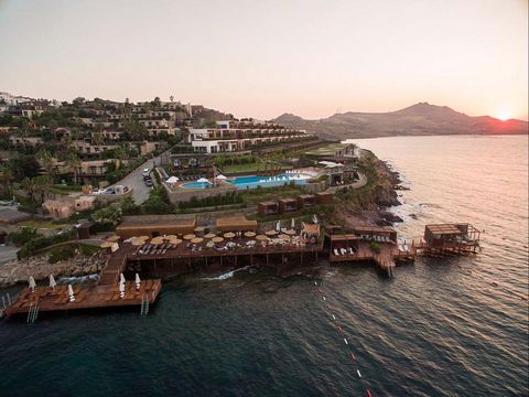 Découvrez les villas de 2 à 4 chambres à vendre à Bodrum, Mugla, Turquie Nichées au cœur de Bodrum, Mugla, en Turquie, ces villas exquises offrent une expérience de vie incroyable avec vue sur la nature et la mer. Disponibles en 2, 3 et 4 chambres, c...