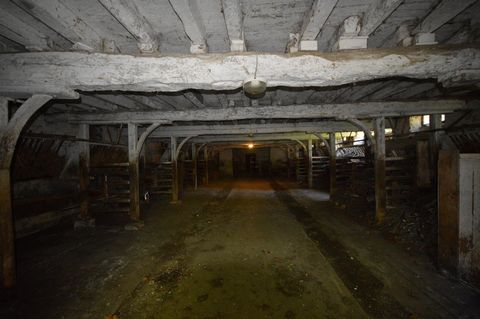 photo no. 13