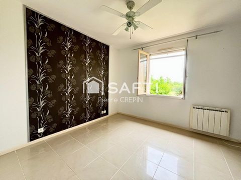photo no. 10