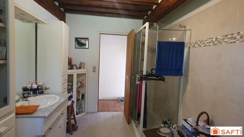 photo no. 13