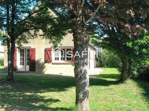 photo no. 10