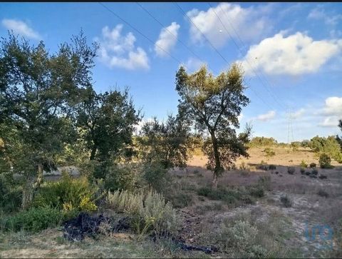 Terreno rural em Palmela - 8200 m2 Aproveite uma oportunidade única de adquirir um grande terreno rural de 8200 m², idealmente localizado em Palmela. Esta propriedade encontra-se ao pé da estrada, oferecendo um acesso fácil e cómodo, tornando-a o loc...