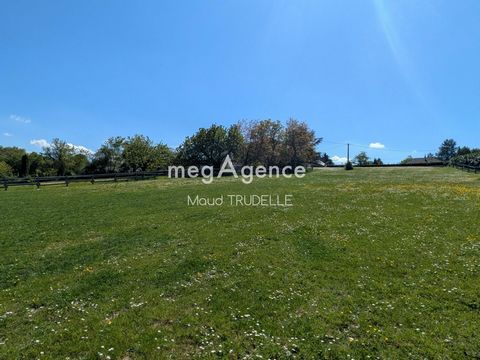 photo no. 12
