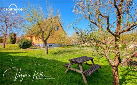 Exclusivité à Romanswiller (67) Maison familiale 4 chambres sur 8,53 ares
