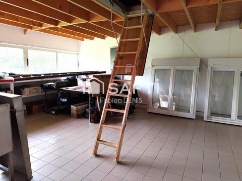 photo no. 3