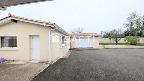 photo no. 16