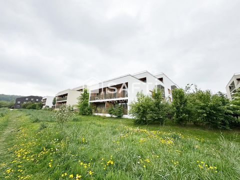 photo no. 12