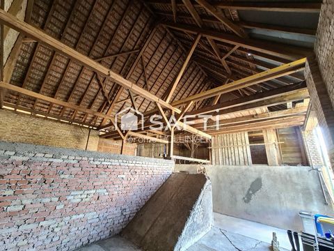 photo no. 12
