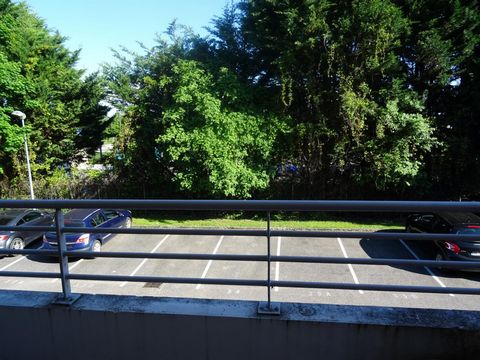 photo no. 5