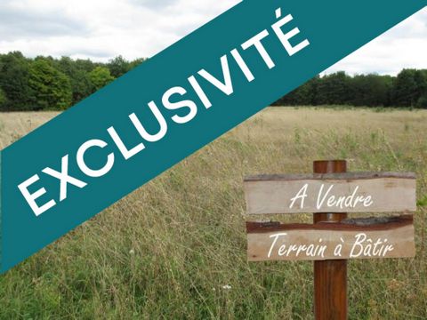 terrain constructible