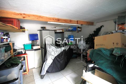 photo no. 12