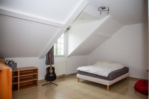 photo no. 6